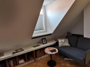 Apartma Fža - internet